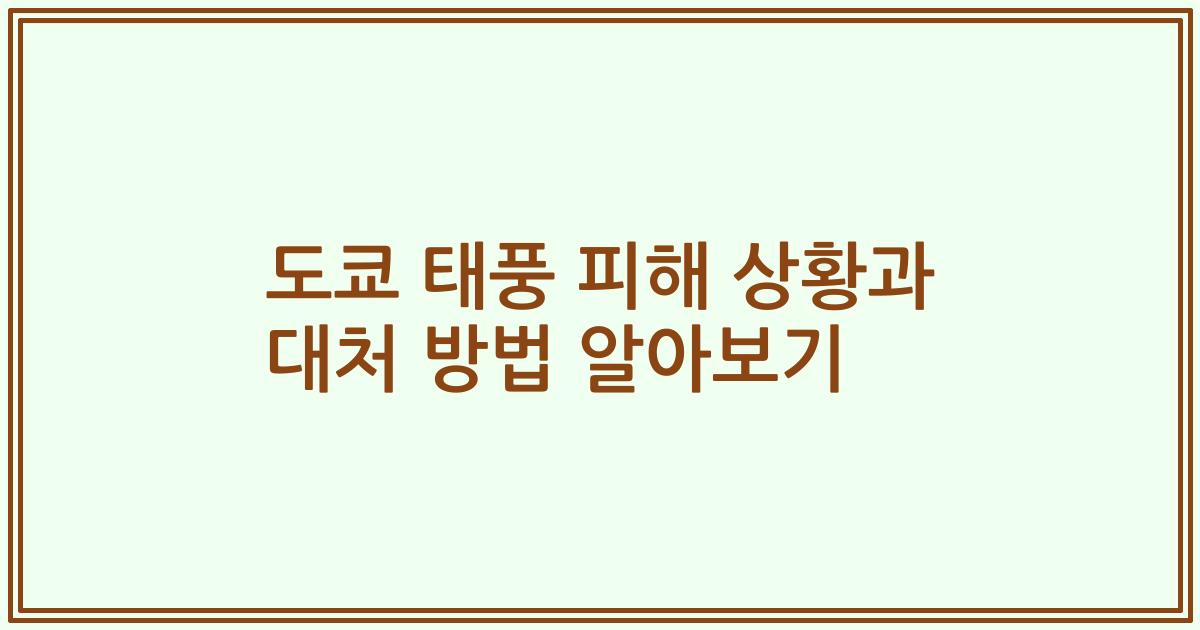 도쿄 태풍 피해 상황과 대처 방법 알아보기
